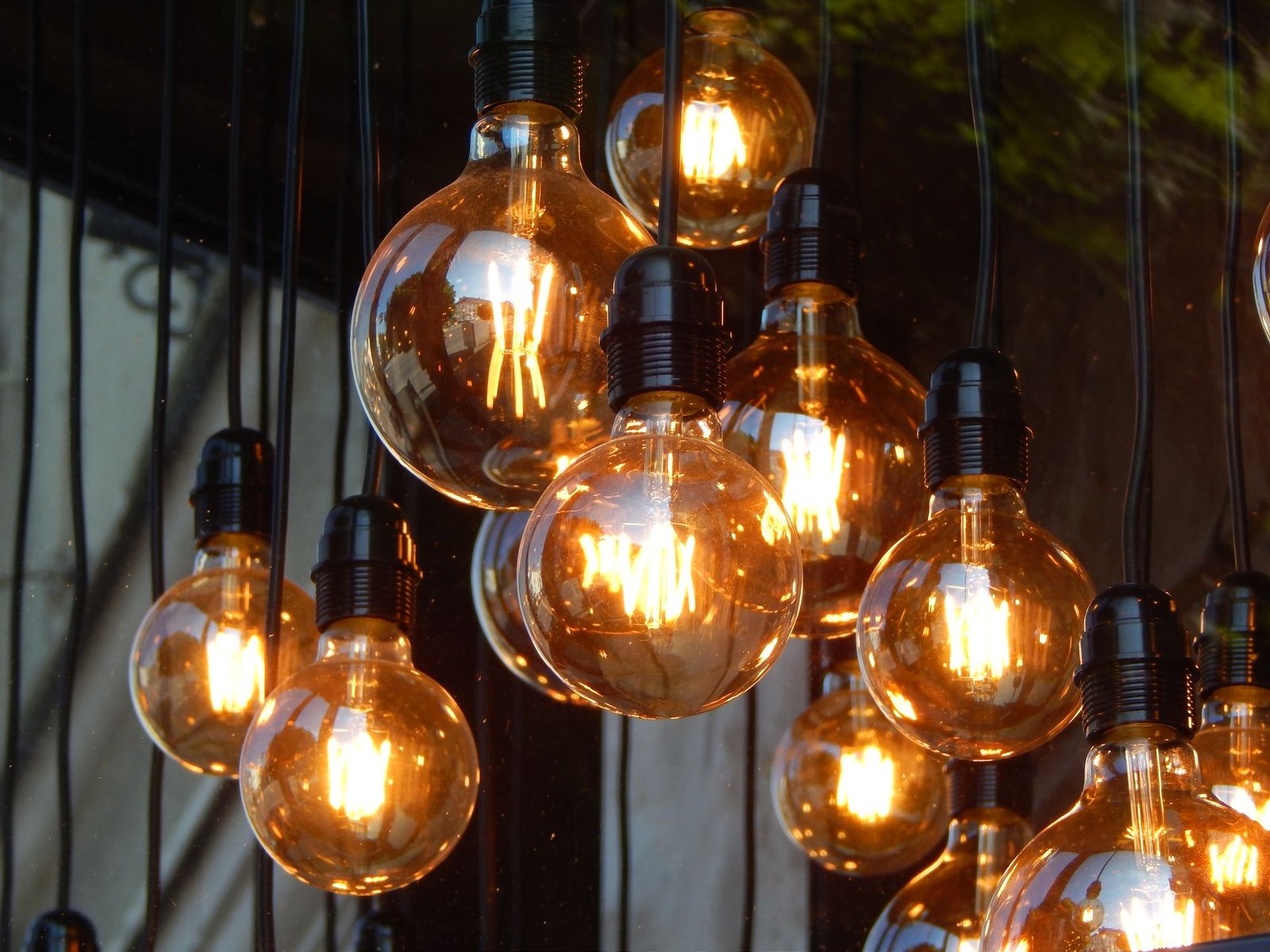 ampoules électriques allumées
